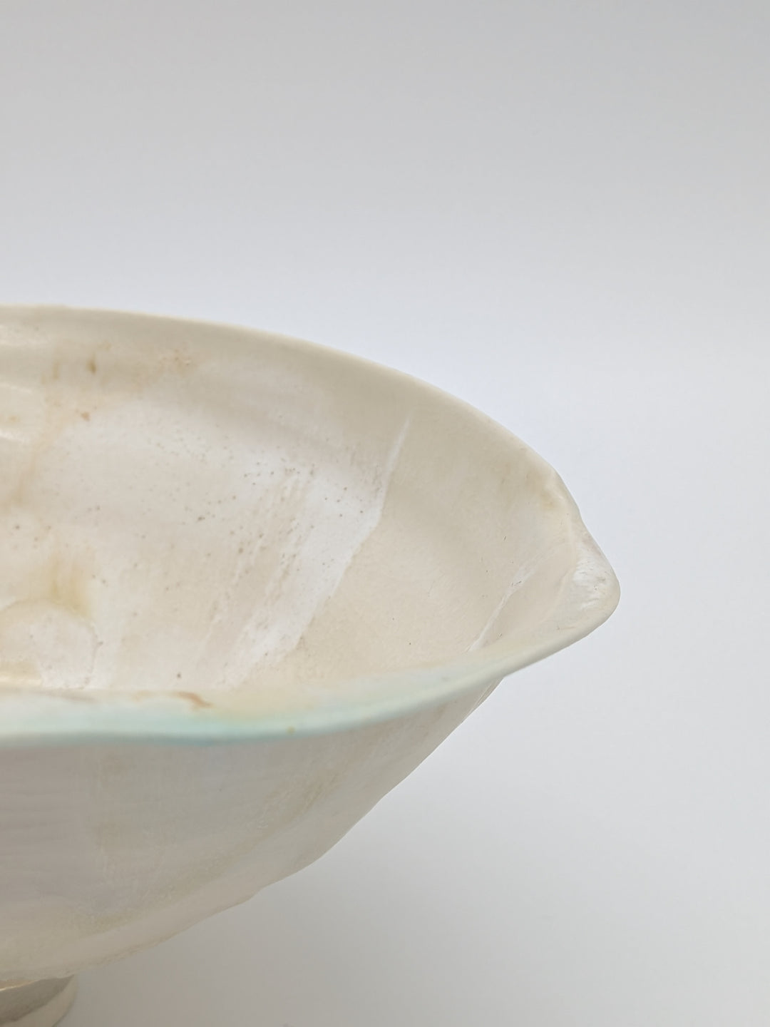紫蓮 茶碗 生成